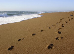 malibu_drug_rehab_beach